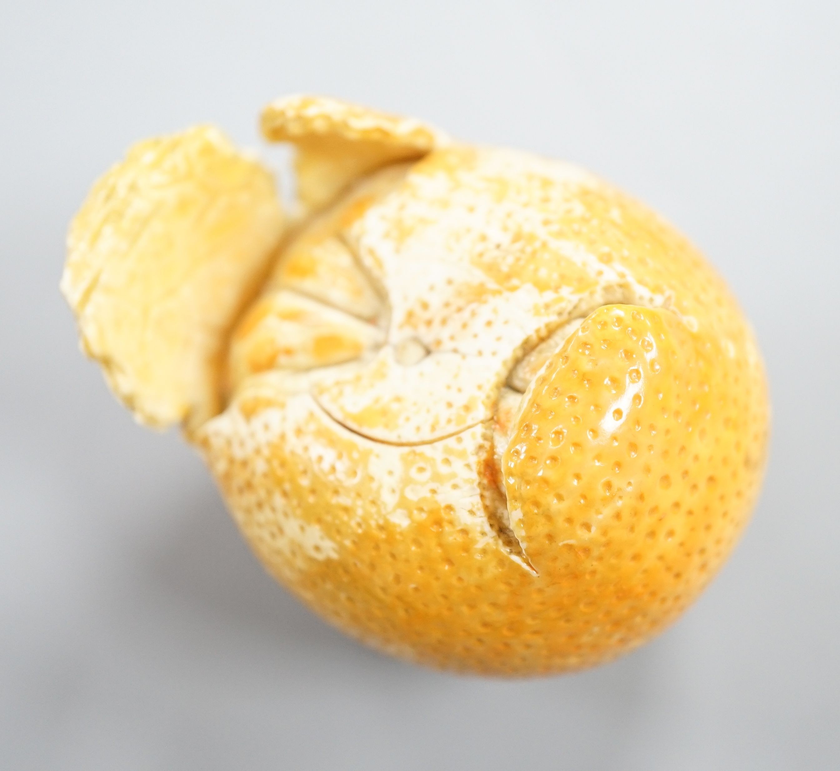 A Japanese carved ivory model of a partially peeled tangerine c.1900, 5cm